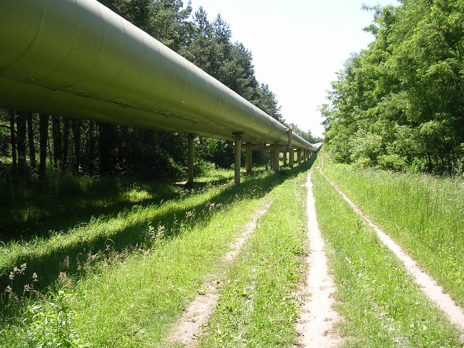 An insulated district heating pipeline running through a green landscape